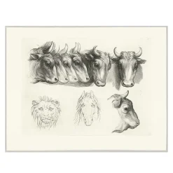 Estampe Têtes de bœufs, de lion et de cheval