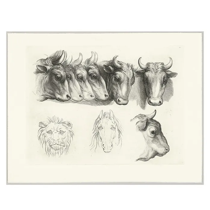 Estampe Têtes de bœufs, de lion et de cheval