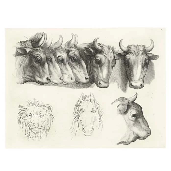 Estampe Têtes de bœufs, de lion et de cheval
