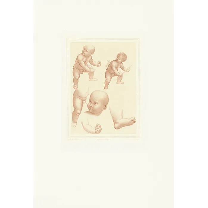 Estampe Étude d'enfant - Léonard de Vinci