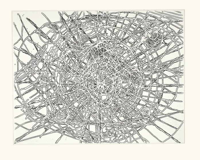 Estampe Untitled Louvre - Terry Winters 2001