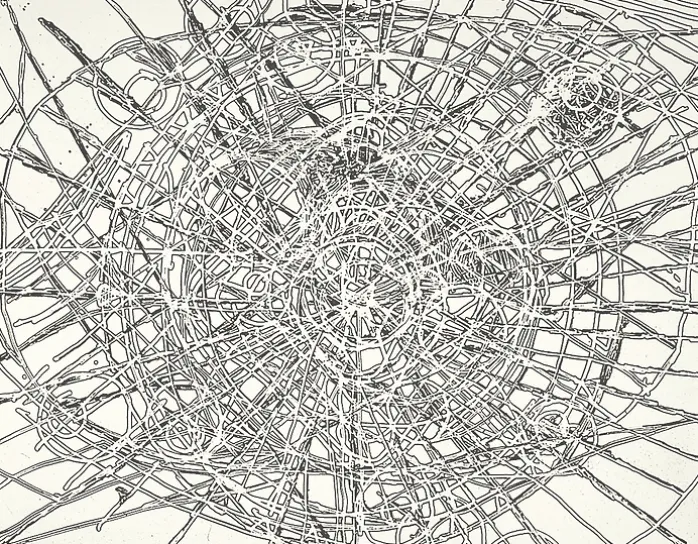 Estampe Untitled Louvre - Terry Winters 2001