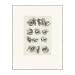 Estampe Yeux de loup, de renard et de pourceau