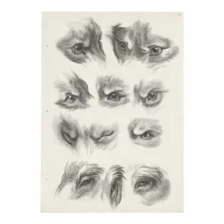 Estampe Yeux de loup, de renard et de pourceau