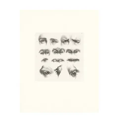 New Estampe Yeux humains, yeux de singes et de chameaux Dessins