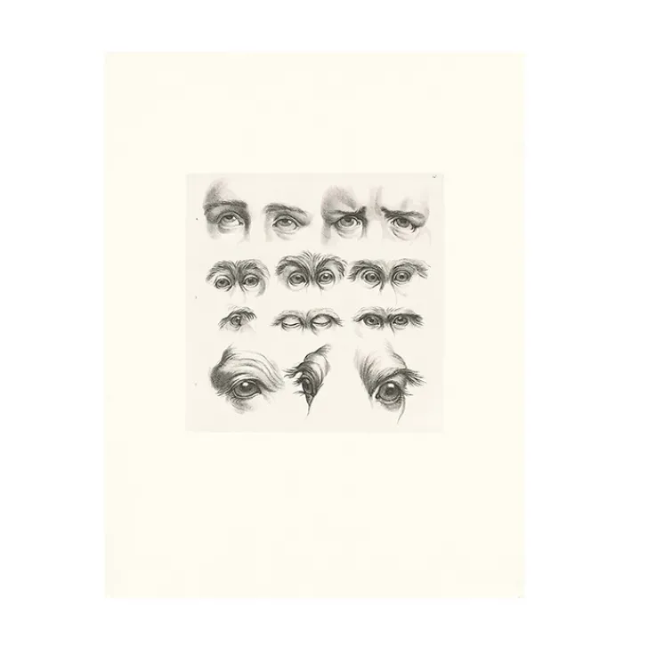 New Estampe Yeux humains, yeux de singes et de chameaux Dessins