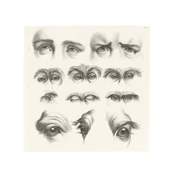 New Estampe Yeux humains, yeux de singes et de chameaux Dessins