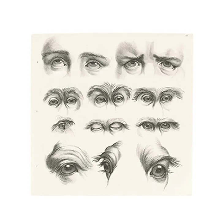 New Estampe Yeux humains, yeux de singes et de chameaux Dessins