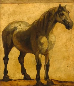 Etude de cheval (toiles sans cadre)