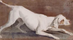 Etude de chienne blanche "Tane" (affiches d'art encadrées)