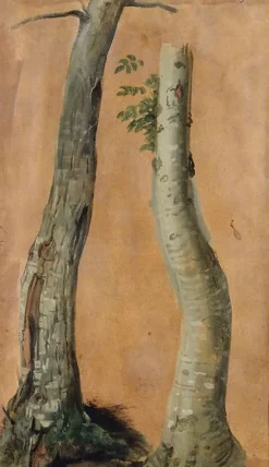 Etude de troncs d'arbres (panneaux acryliques)