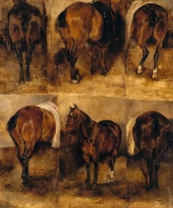 Sale Etudes de chevaux (toiles sur châssis) Toiles Sur Châssis|Panneaux Aluminium