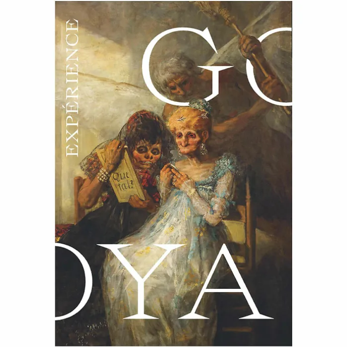 Expérience Goya - Catalogue d'exposition