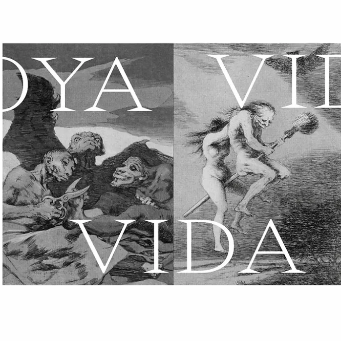Expérience Goya - Catalogue d'exposition