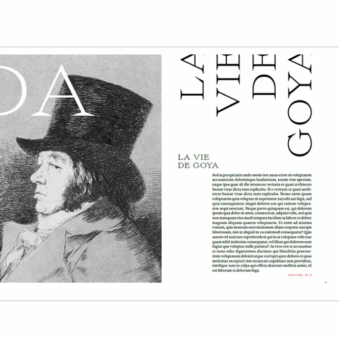 Expérience Goya - Catalogue d'exposition