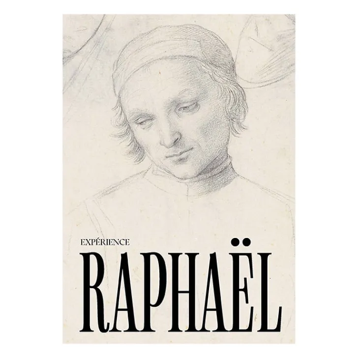 Discount Expérience Raphaël - Catalogue de l'exposition Catalogues D'Exposition