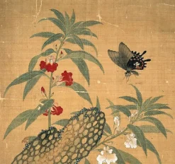 Fleurs et insectes (affiches d'art)