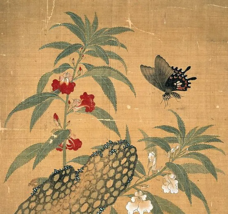 Hot Fleurs et insectes (affiches d'art encadrées) Affiches D'Art Encadrées|Toiles Sans Cadre