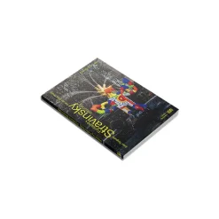 Outlet Fontaine Stravinsky - Niki de Saint-Phalle - Jean Tinguely Livres D'Art