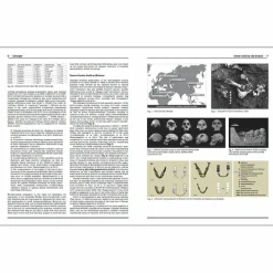 Homo faber - 2 millions d'années d'histoire de la pierre taillée - De l'Afrique aux portes de l'Europe - Catalogue d'exposition