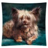 Housse de coussin Rosa Bonheur - Toutou, le bien-aimé - 45 x 45 cm Art De La Maison