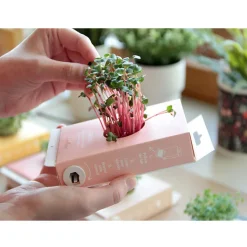 Discount Kit de culture Scrollino Sprouts - Radis Loisirs Créatifs