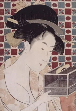 La cage à insectes (affiches d'art encadrées)