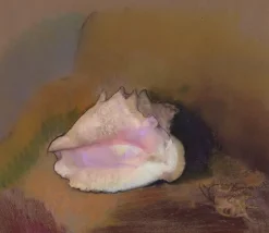 La Coquille : en bas à droite, petit coquillage, dans l'ombre (panneaux aluminium)