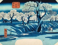 La floraison à Koganei (affiches d'art encadrées)