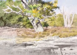 La Mare aux fées à Fontainebleau (affiches d'art encadrées)