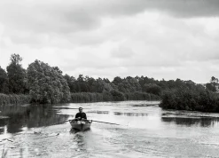 La Seine à Champrosay (détail) (panneaux aluminium)