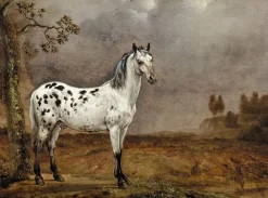 Le Cheval pie (affiches d'art encadrées)