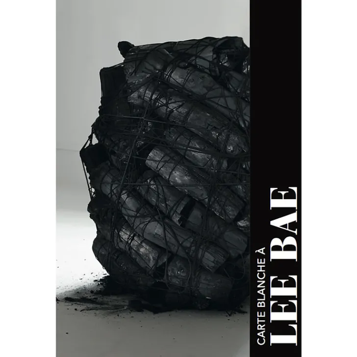 New Lee Bae Catalogues D'Exposition