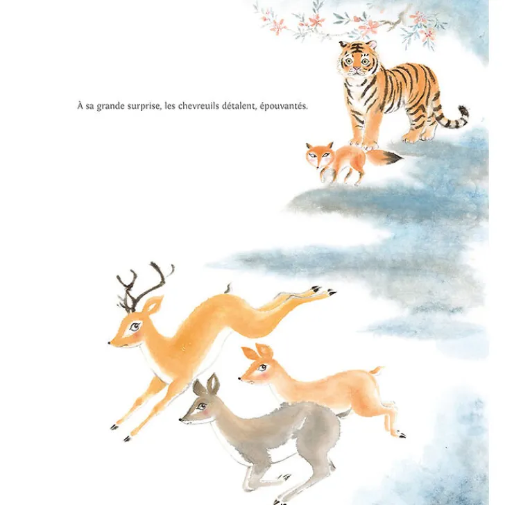 Le renard et le tigre Livres Jeunesse