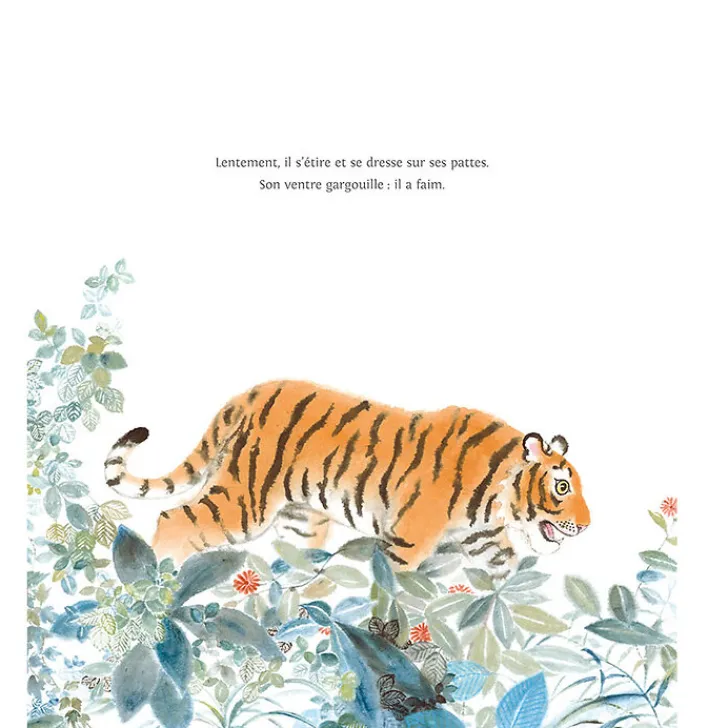 Le renard et le tigre Livres Jeunesse
