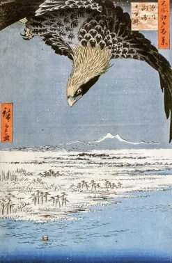 Les champs de Susaki à Fukagawa, 1797-1858 (panneaux aluminium)