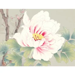 Les fleurs par les grands maîtres de l'estampe japonaise Livres D'Art