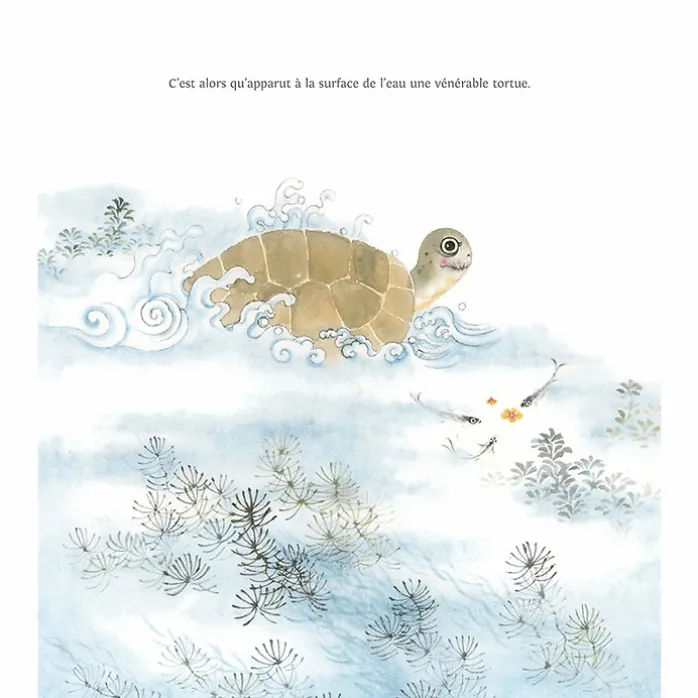 Les lapins et la tortue