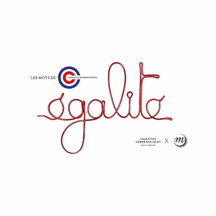 Les mots du Conseil constitutionnel - Égalité Rouge