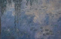 Sale Les Nymphéas : Le Matin aux Saules (affiches d'art encadrées) Affiches D'Art Encadrées|Panneaux Acryliques
