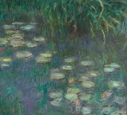 Les Nymphéas : Matin (affiches d'art encadrées)