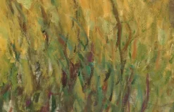 Les Nymphéas : Soleil couchant (toiles encadrées)