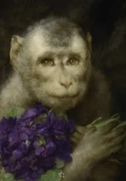 New Les origines du monde. L'invention de la nature au XIXᵉ - Abécédaire Livres D'Art
