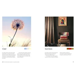 L'harmonie des couleurs : Le guide complet Livres D'Art