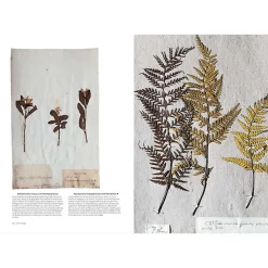 Online L'herbier du Museum - L'aventure d'une collection Histoire, Géographie Et Sciences