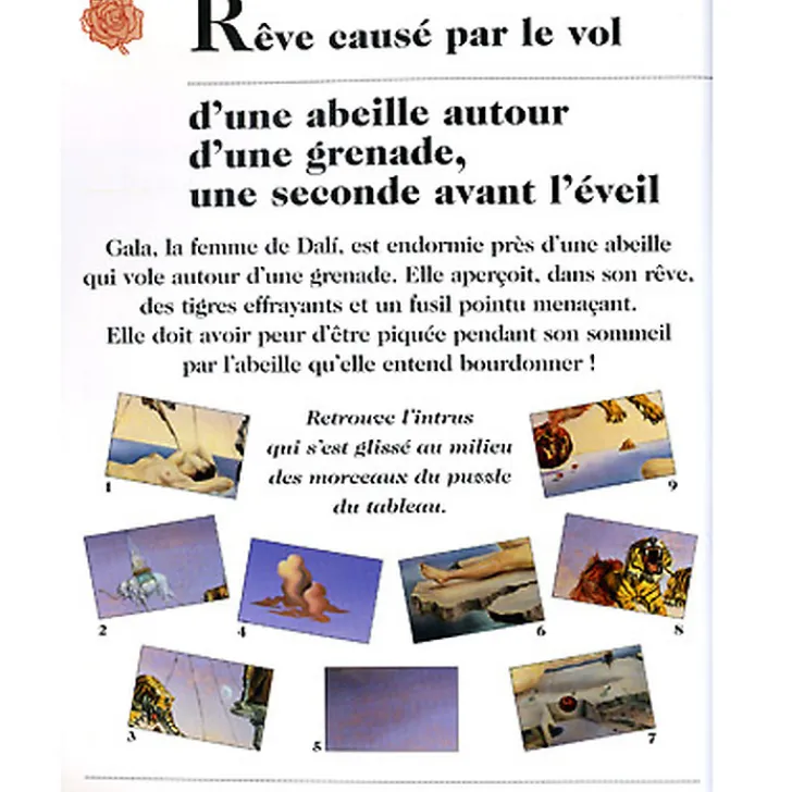 Hot Livre-jeu Quel drôle de génie ce Dalí ! - Salut l'artiste Livres Jeunesse
