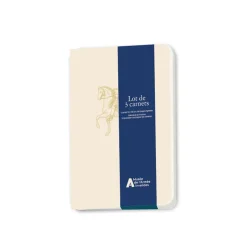 Discount Lot de 3 carnets - Musée de l'Armée Emblèmes Louis XIV Cahiers Et Carnets