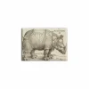 Clearance Magnet Albrecht Dürer - Le rhinocèros, 1515 Magnets