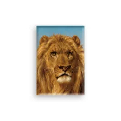 Outlet Magnet Rosa Bonheur - El Cid, Tête de Lion Magnets