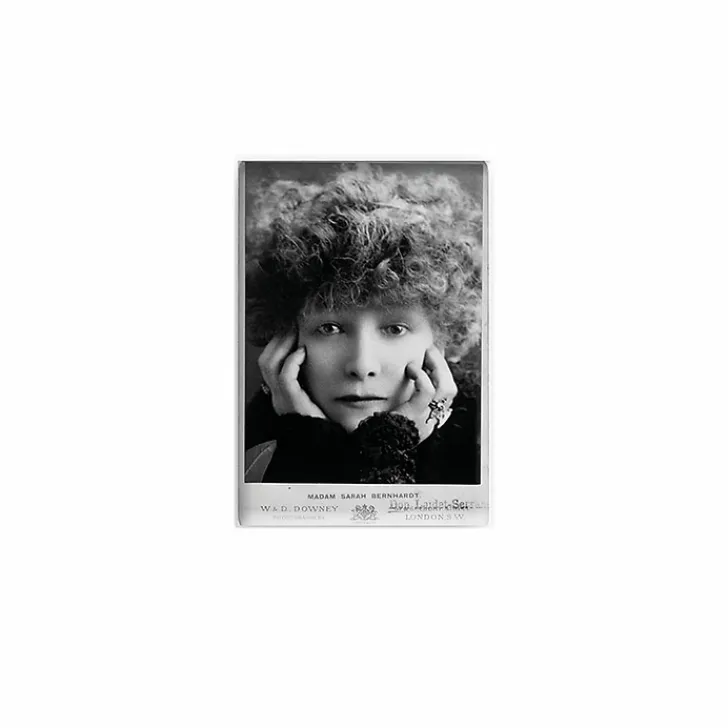Magnet William Downey - Sarah Bernhardt, 1902 Magnets